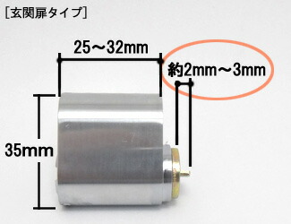 ASSA 玄関ドアタイプ